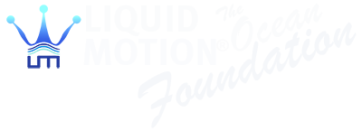 liquid motion ocean foundation